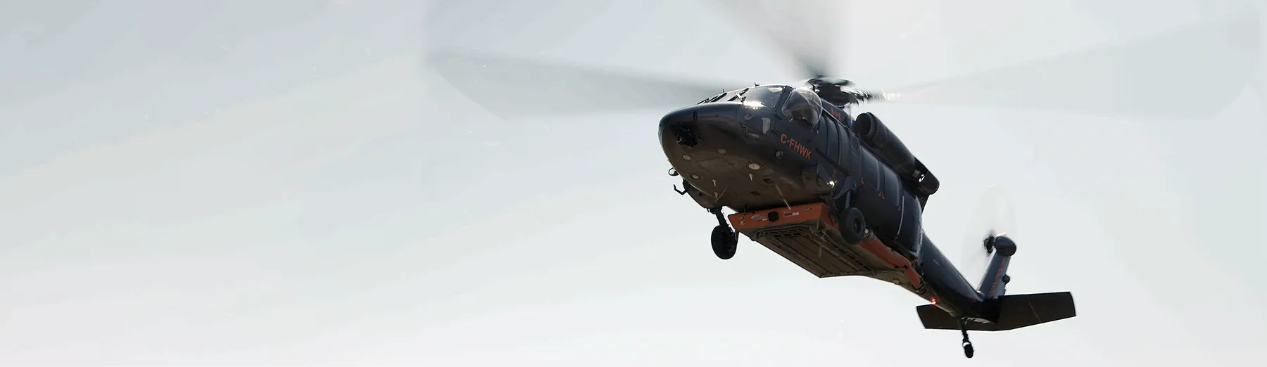 Hawk over BC terrain